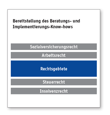 Strukturplan zur Bereitstellung des Beratungs- und Implementierungs-Know-hows. Die relevanten Rechtsgebiete umfassen Sozialversicherungsrecht, Arbeitsrecht, Steuerrecht und Insolvenzrecht.